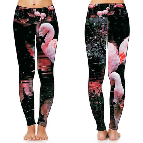 Women Legging